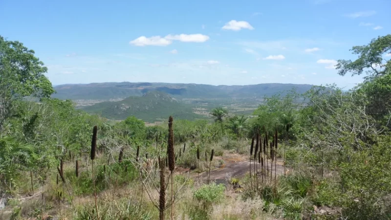 Alagoas: 9 municípios fazem parte do Circuito do Frio