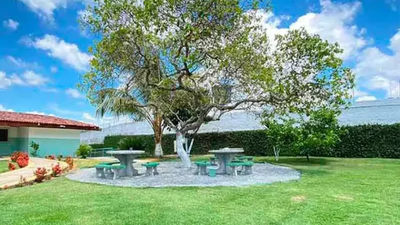 Justiça autoriza internações involuntárias de dependentes