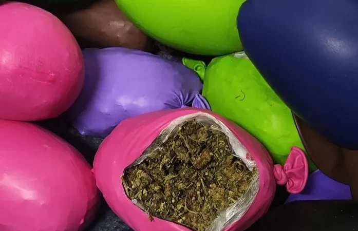Tráfico de drogas: homem é preso com cerca de 10 kg de maconha escondidos em balões de festa