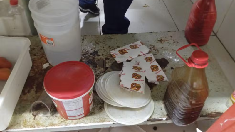 Sandubaria em Maceió é interditada após fiscais acharem mofo, sujeira e infestação de baratas