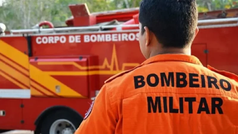 Motociclista fica ferido após colidir contra capivara em Palmeira dos Índios