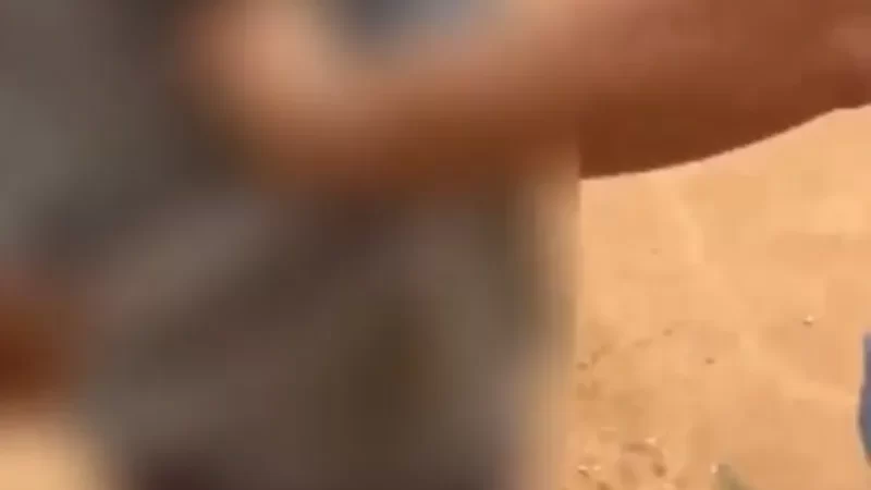 Preso em AL condenado por estuprar criança de 7 anos em São Paulo