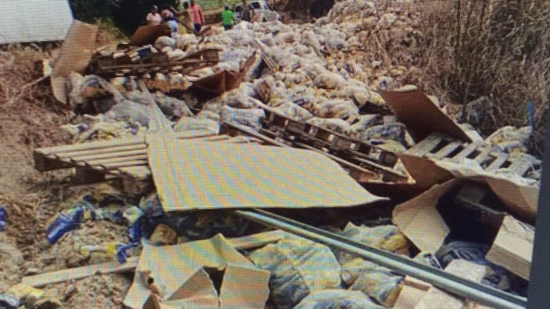 Caminhão tomba e despenca em ribanceira em São José da Laje, AL