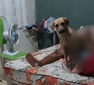 Idoso é preso suspeito de manter relações sexuais com cadela em Palmeira dos Índios