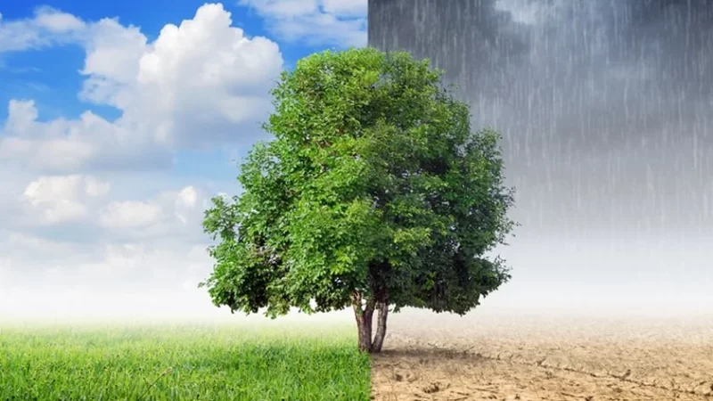 Ufal reúne comitê para discutir questões climáticas e ações institucionais