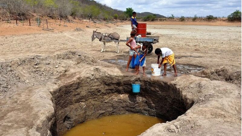 Palmeira dos Índios e outros 29 municípiosde AL entram em estado de emergência pela estiagem