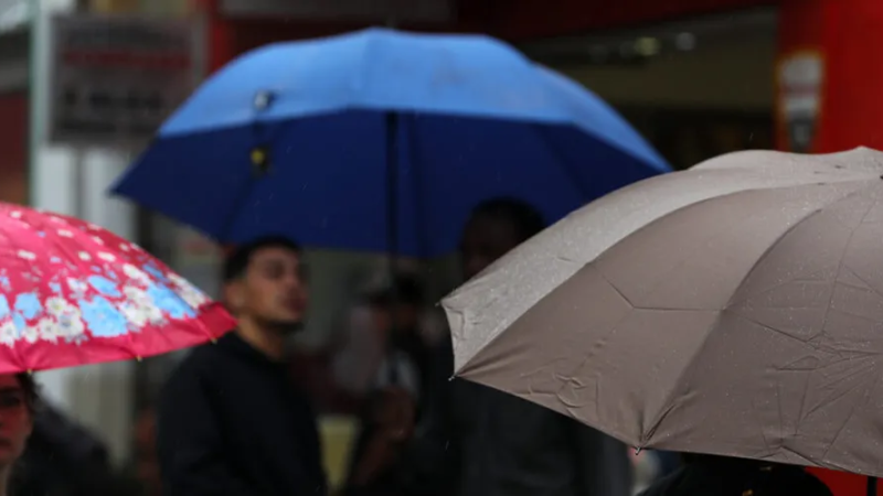 Alerta de vendaval é emitido para 51 municípios de AL, Palmeira dos Índios também está na lista