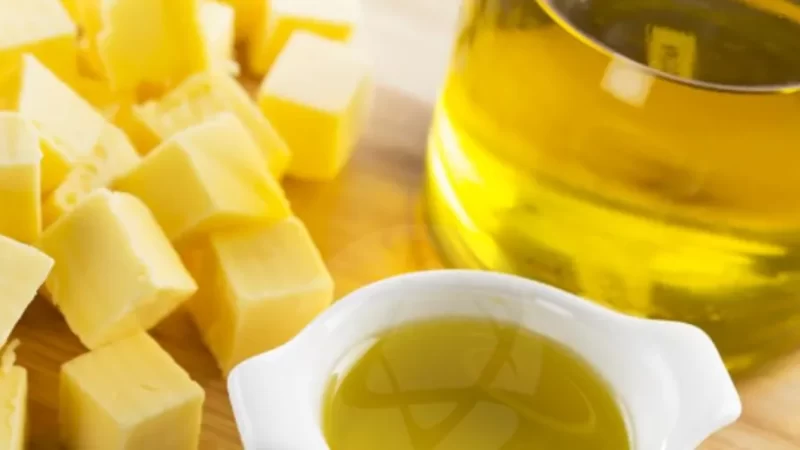 Gordura de origem vegetal ou animal: qual merece mais espaço no cardápio?