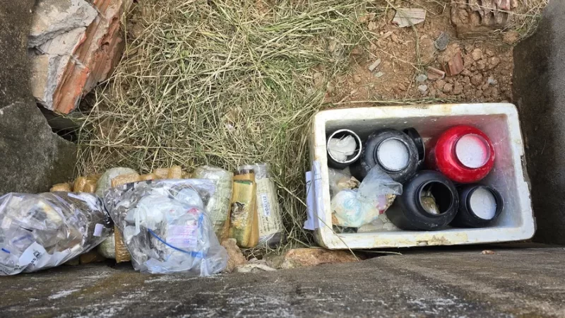 Polícia Civil incinera 76 kg de drogas avaliadas em R$ 300 mil