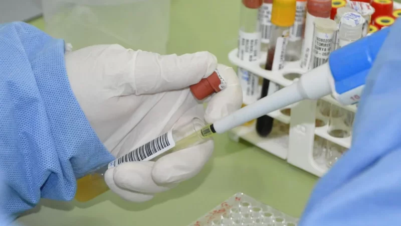 AL tem 115 casos confirmados de febre do Oropouche Palmeira dos Índios segue apresentando o maior número de casos