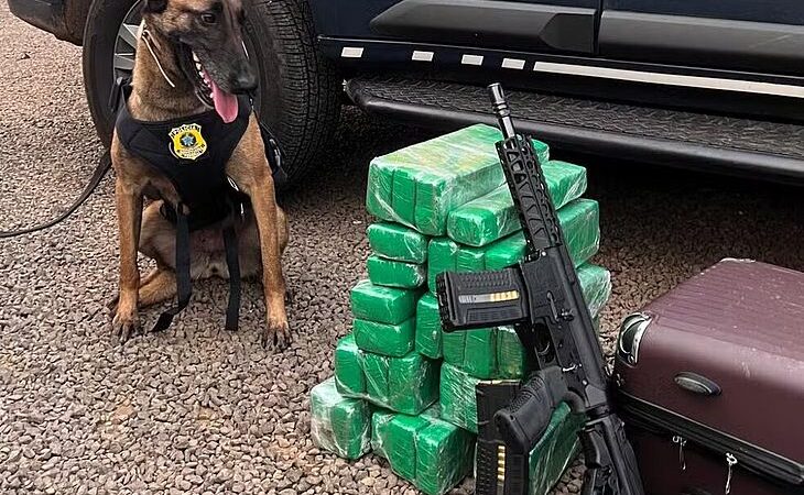 Adolescente de 17 anos que viajava de ônibus é apreendida com fuzil e drogas