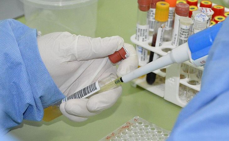 Sesau investiga morte possivelmente causada pela febre oropouche, em Alagoas