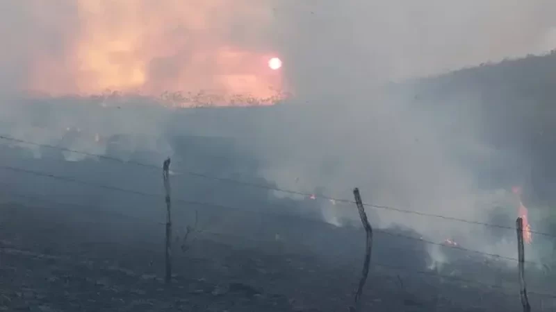 Alagoas registra mais de sete mil focos de incêndio em vegetações este ano