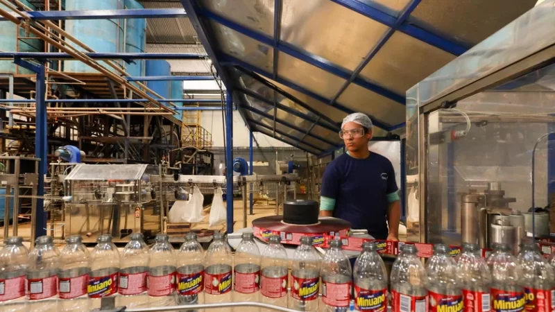 Geração de emprego em Alagoas avança mais de 69% e soma 5,1 mil vagas em agosto