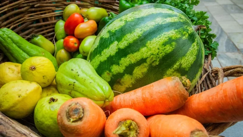 BNB dobra recursos para agricultura familiar no semiárido alagoano