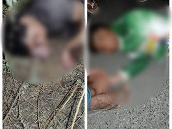 Jovens ficam feridos após motocicleta em que estavam colidir com boi entre Maravilha e Ouro Branco