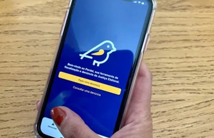 Pardal: em AL, mais de 280 denúncias eleitorais já foram registradas; confira ranking dos 10 municípios com maiores números