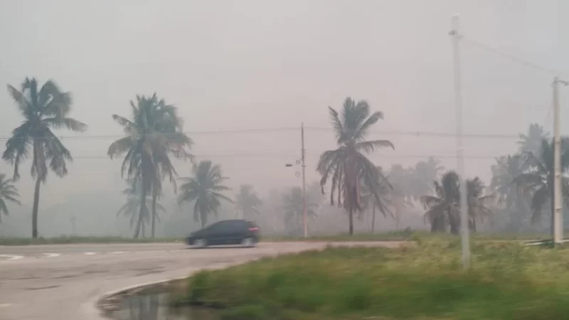 Bombeiros se mobilizam para combater focos de incêndios em vegetação na AL-101 Sul