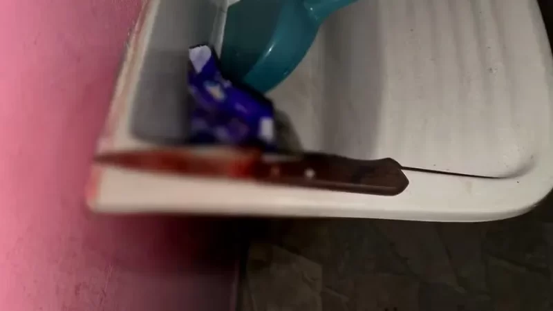 Alagoano esfaqueia esposa e filho, mantém os dois reféns e acaba morto pela PM em SP