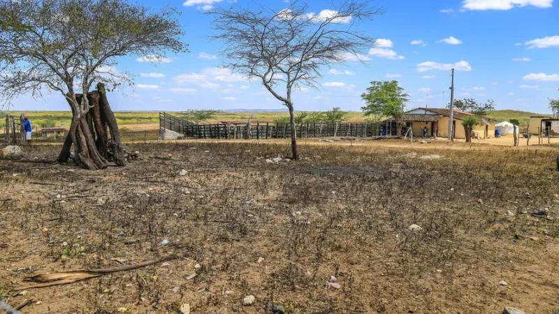 Pesquisadores da Universidade Federal preveem três décadas de seca em AL