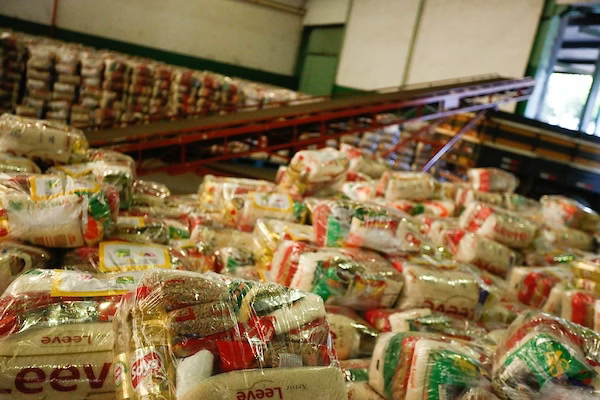 Bets: governo avalia dar cesta básica para quem perder Bolsa Família