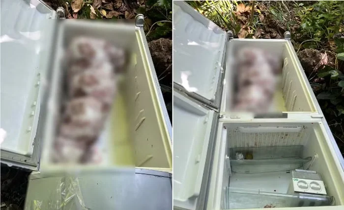 Justiça mantém preso homem que matou sogra e escondeu corpo em geladeira