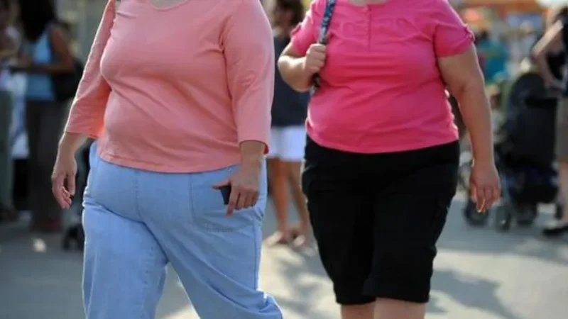Mais de 20% da população de Alagoas está obesa, aponta pesquisa