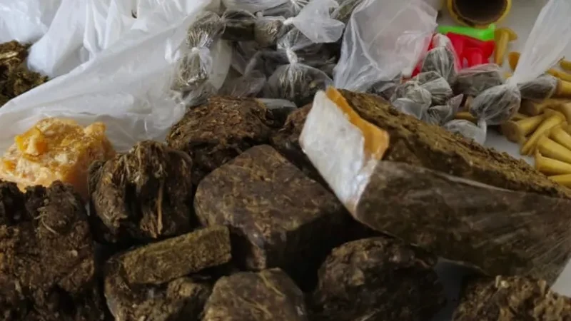 Mulher resolve traficar drogas no Agreste de AL para pagar dívidas