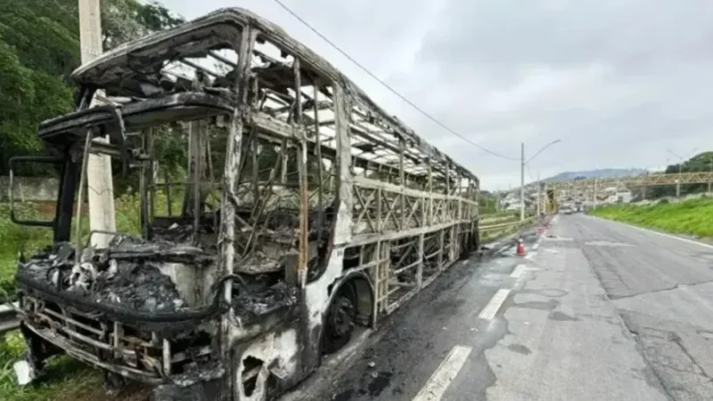 Palmeirenses envolvidos em emboscada são investigados por diversos crimes