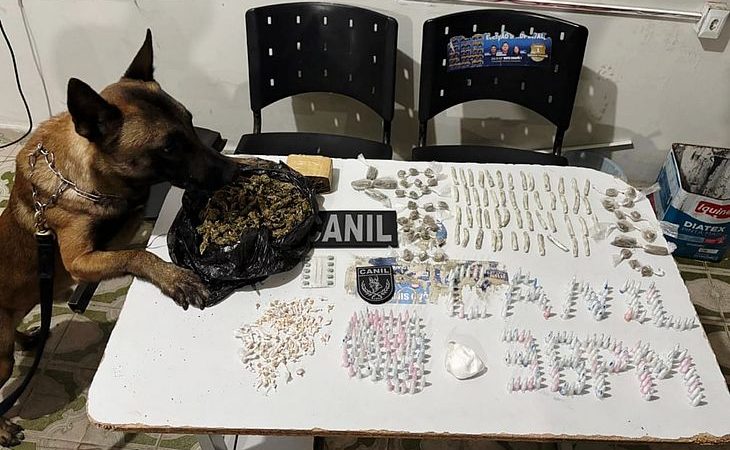 Drogas avaliadas em R$ 9,5 mil são apreendidas em residência em Arapiraca; suspeito fugiu