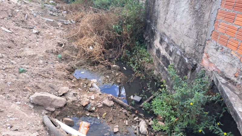 Fiscalização constata contaminação do Rio São Francisco em Olho D’Água Grande