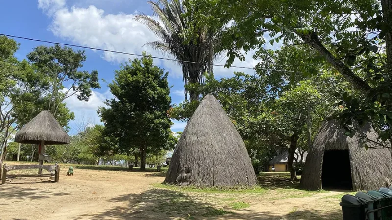 Serra da Barriga é fechada após acidente com ônibus; luto de três dias é decretado
