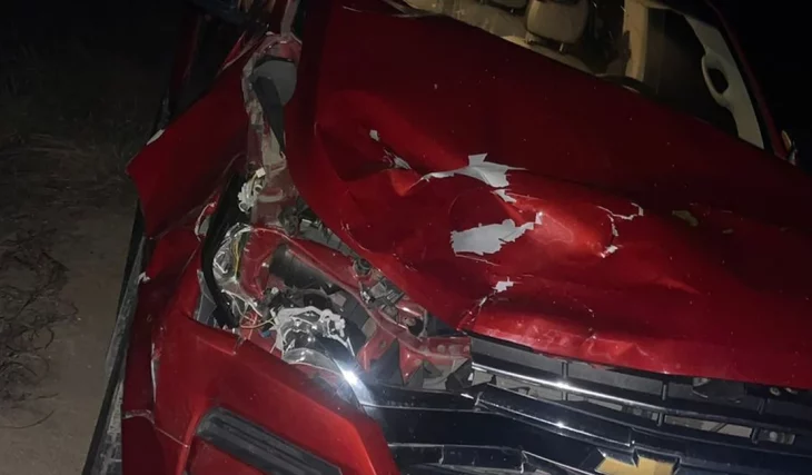 Boi ‘surge’ na pista e causa acidente com carro na AL 435