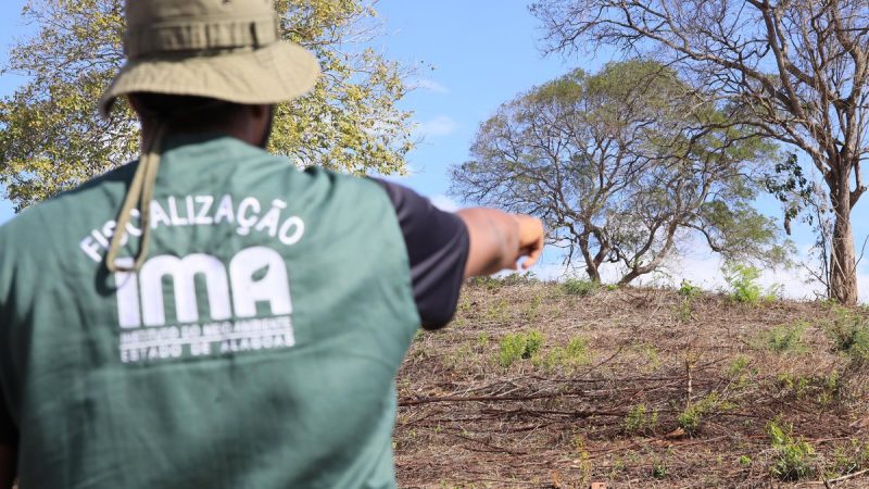 Fiscalização embarga áreas desmatadas que equivalem a 419 campos de futebol
