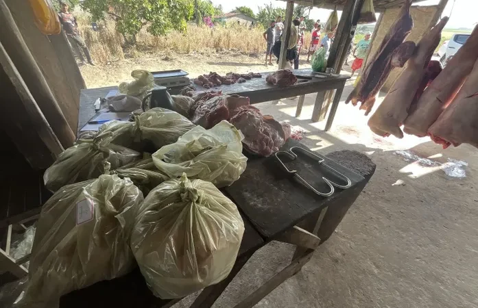 Abatedouro irregular de suínos é flagrado por fiscalização no Agreste alagoano