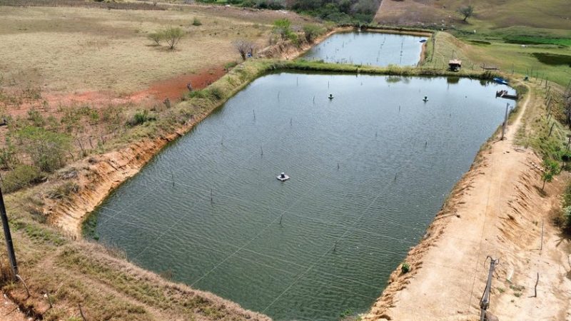 Criatório de camarões é notificado e tem prazo de 30 dias para adequação às normas ambientais