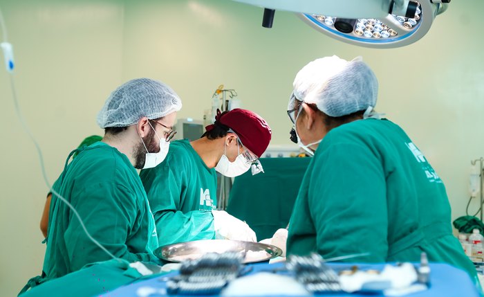 AL registra aumento de 85% no número de transplantes de órgãos realizados