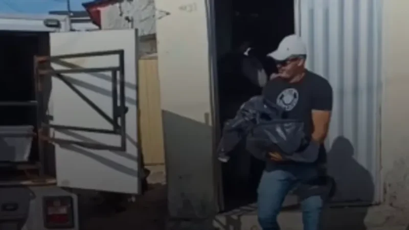 Com manchas pelo corpo, bebê de 4 meses é encontrada morta em casa no Agreste