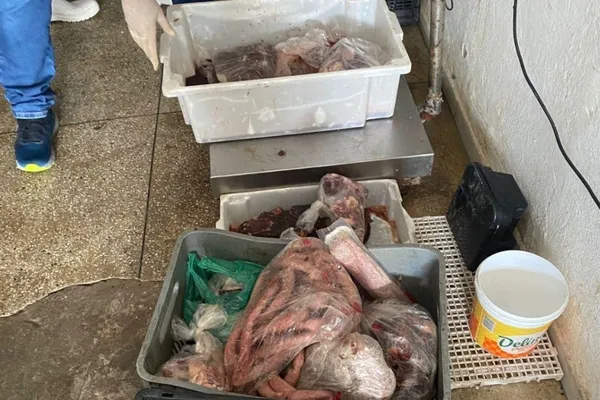 Fiscalização apreende 400kg de produtos estragados em frigorífico em Maceió