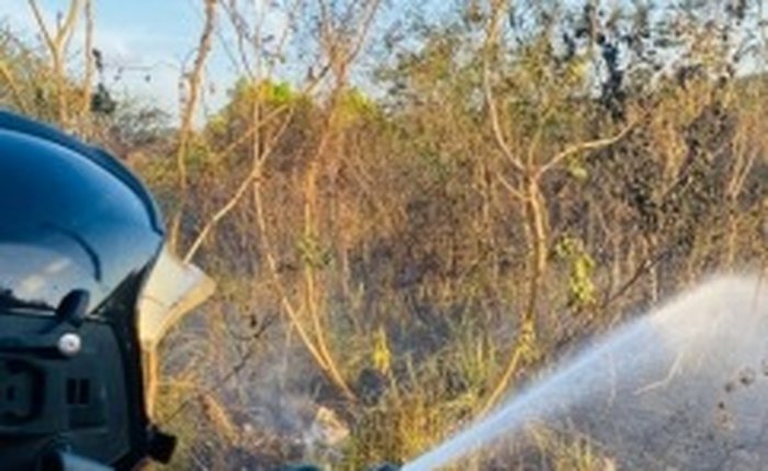 Incêndio em vegetação deixa trecho da rodovia AL-485 intransitável