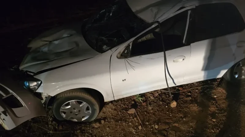 Cavalo solto na estrada provoca acidente na rodovia AL-115; animal morreu