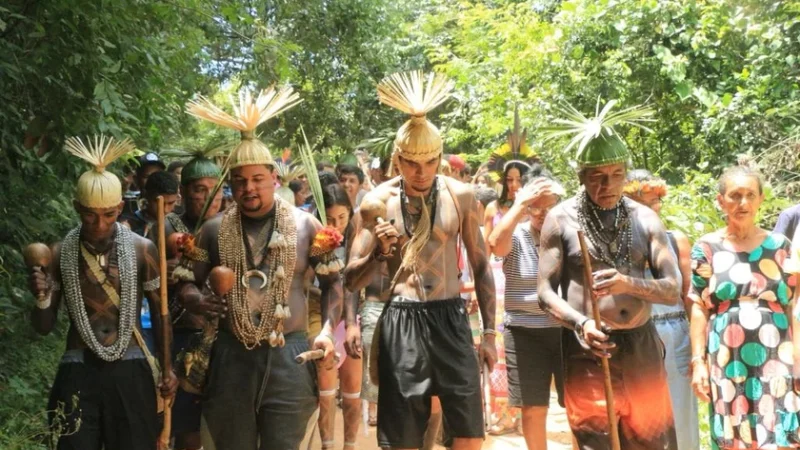Sem território demarcado, povo Xukuru-Kariri se frustra com governo federal