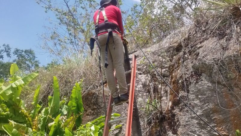 Aldeia de Palmeira dos Índios tem rede de energia elétrica consertada após passar por vários incêndios
