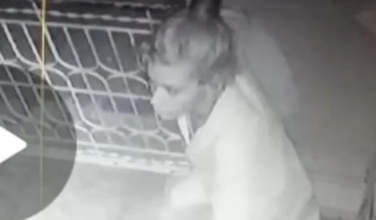 Mulher invade residência e furta smart TV, carroça de mão e outros objetos em Palmeira dos Índios