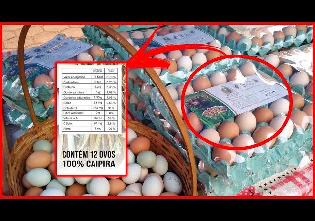 Ovos vendidos sem rótulo vão precisar ter carimbo de validade na casca
