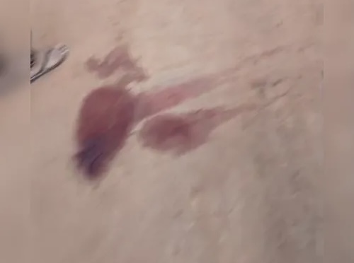 Corpos decapitados são encontrados em estrada de Boca da Mata