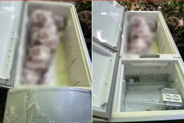 Acusado de matar sogra e esconder corpo em geladeira vai a júri em outubro