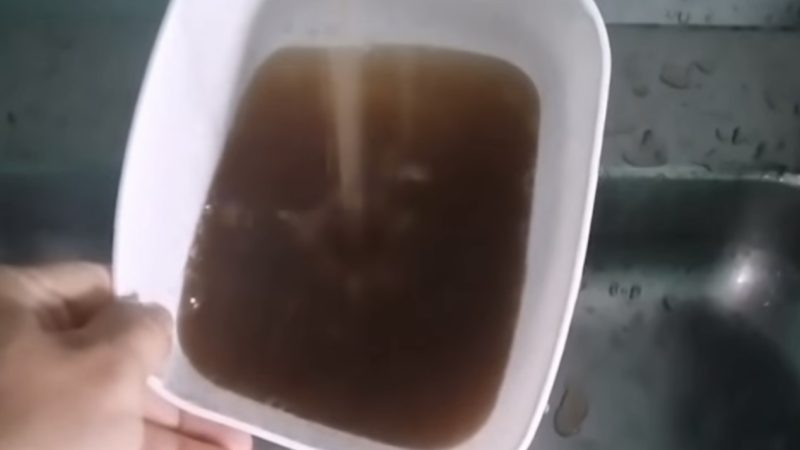 Morador denuncia qualidade da água fornecida pela Águas do Sertão em Palmeira dos Índios