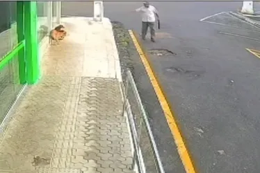 Homem ofereceu R$ 5 mil a policiais para escapar de acusação de matar cães