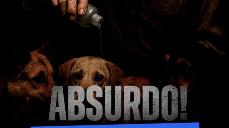 Deputado Leonam critica soltura de idoso preso por envenenar cães em Palmeira dos Índios